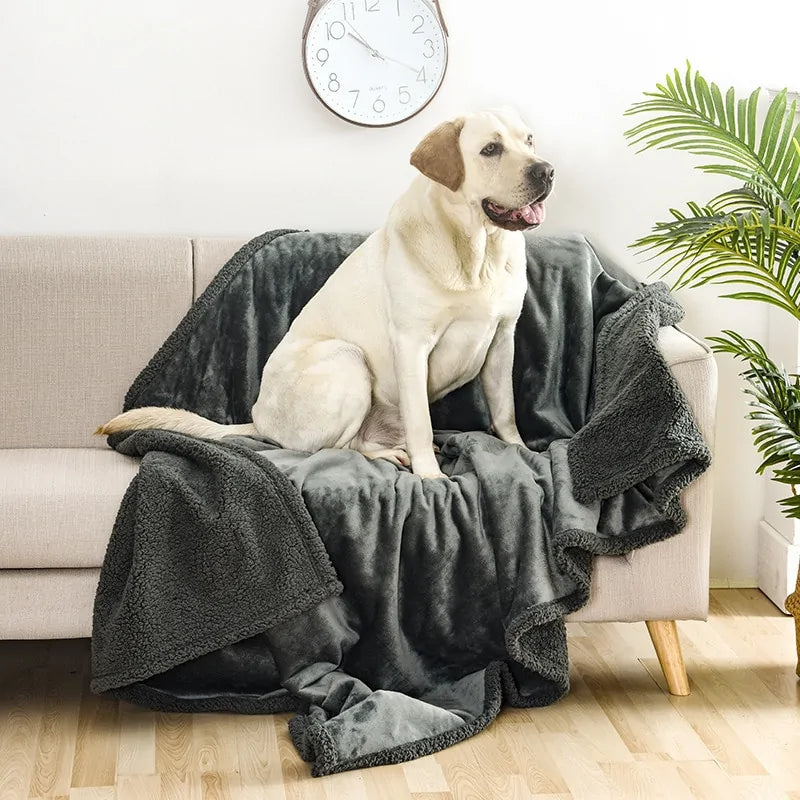 Waterproof Pet Blanket Towed To Adventure