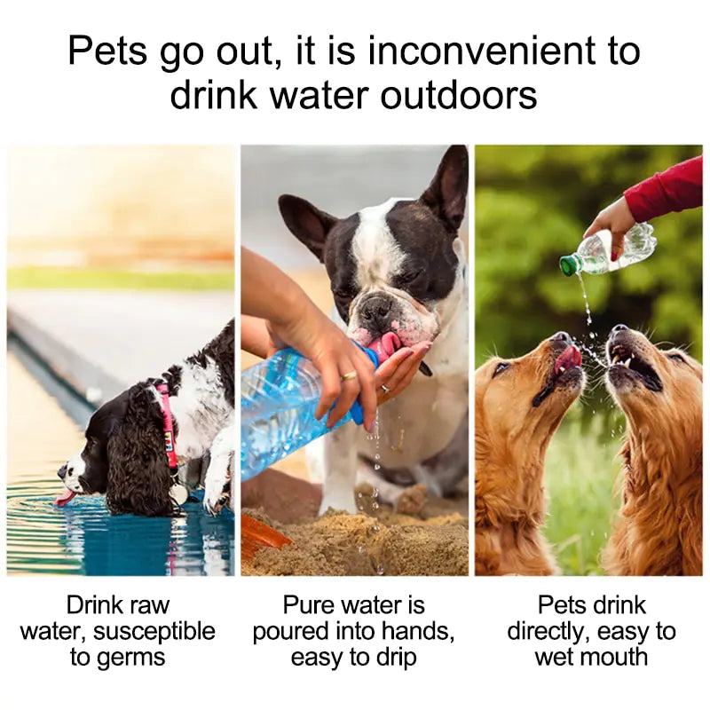 Pet Travel Water Bottle My Store
