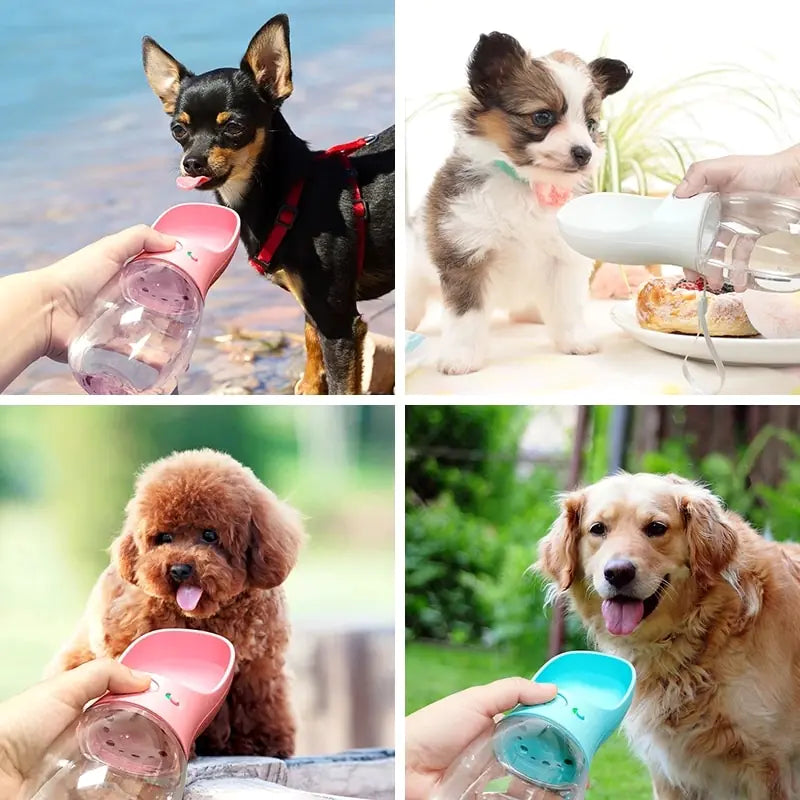 Pet Travel Water Bottle My Store