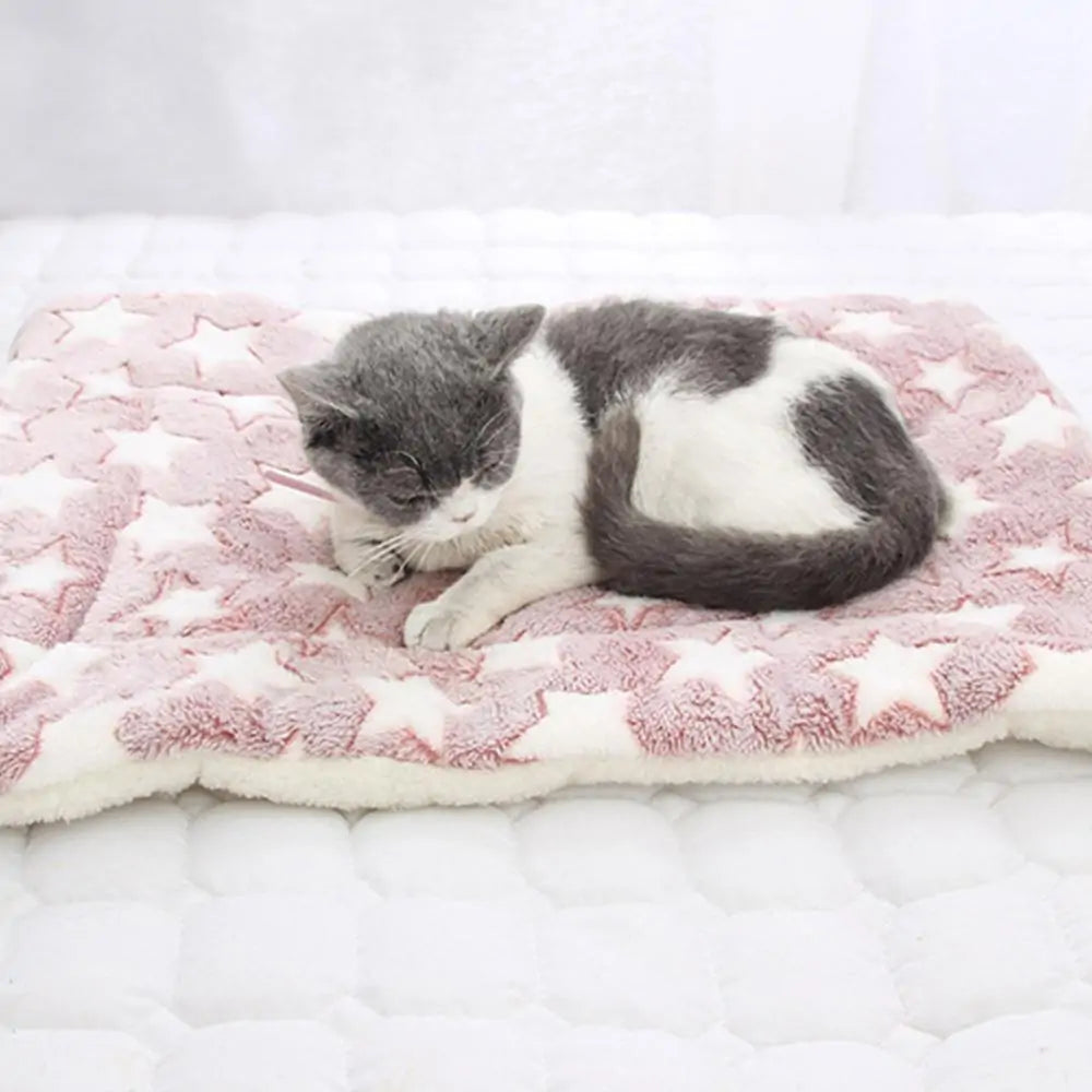 Pet Blanket Towed To Adventure