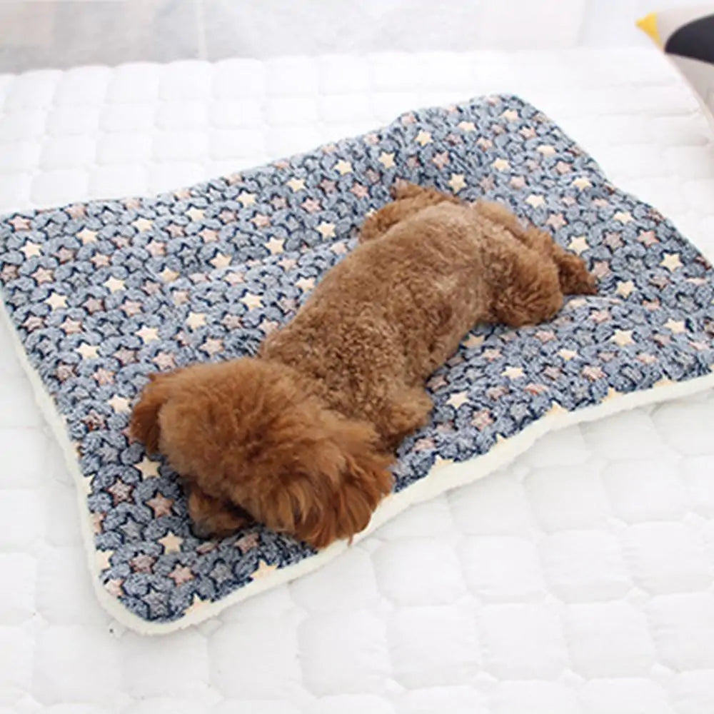 Pet Blanket Towed To Adventure