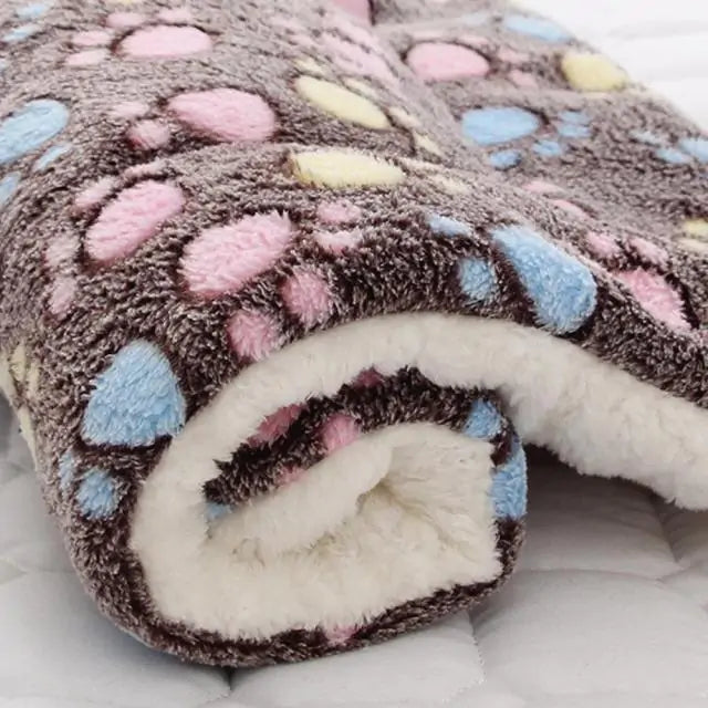 Pet Blanket Towed To Adventure