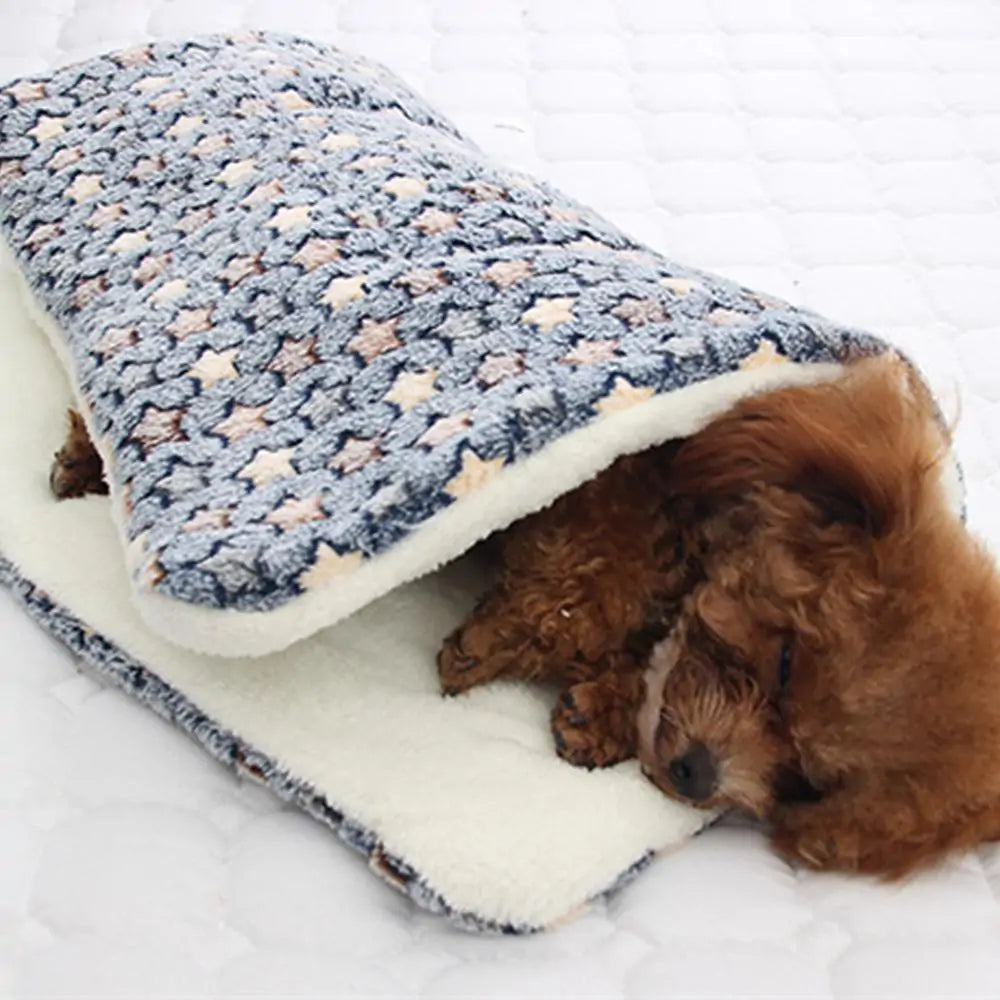 Pet Blanket Towed To Adventure